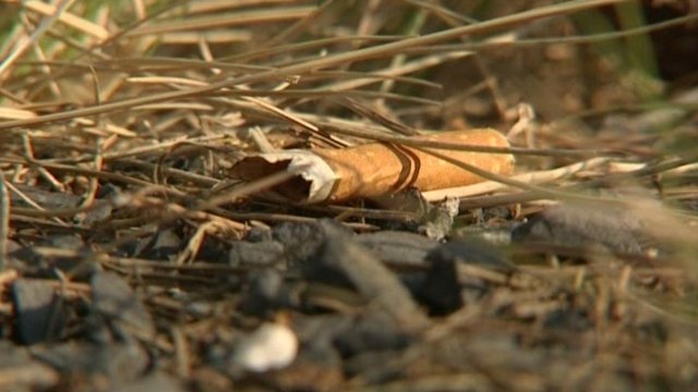 Mila: Sensibilisation sur les feux de forêt