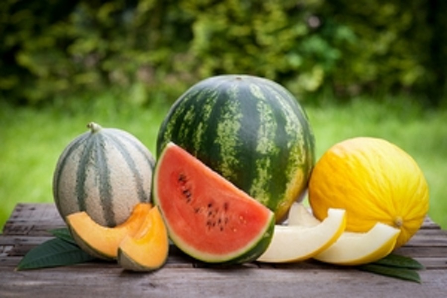 Le melon et la pastèque cassent les prix: Un été sans trop de hausses