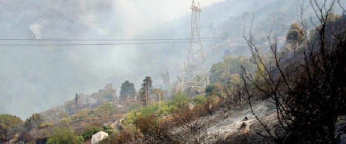 Incendies: Plusieurs individus présumés impliqués arrêtés à Annaba et Bouira
