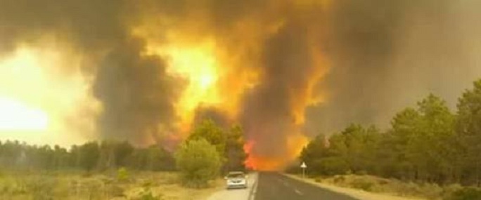 Feux de forêts à El Tarf: intervention de 2 hélicoptères bombardiers à eau et 980 agents pour lutter contre les incendies