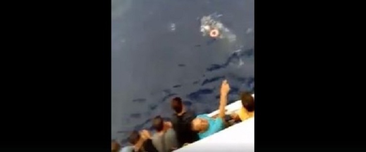 Le ferry Tariq Ibn Ziyad sauve 10 migrants clandestins dont l’embarcation a coulé au large d&rsquo;Oran