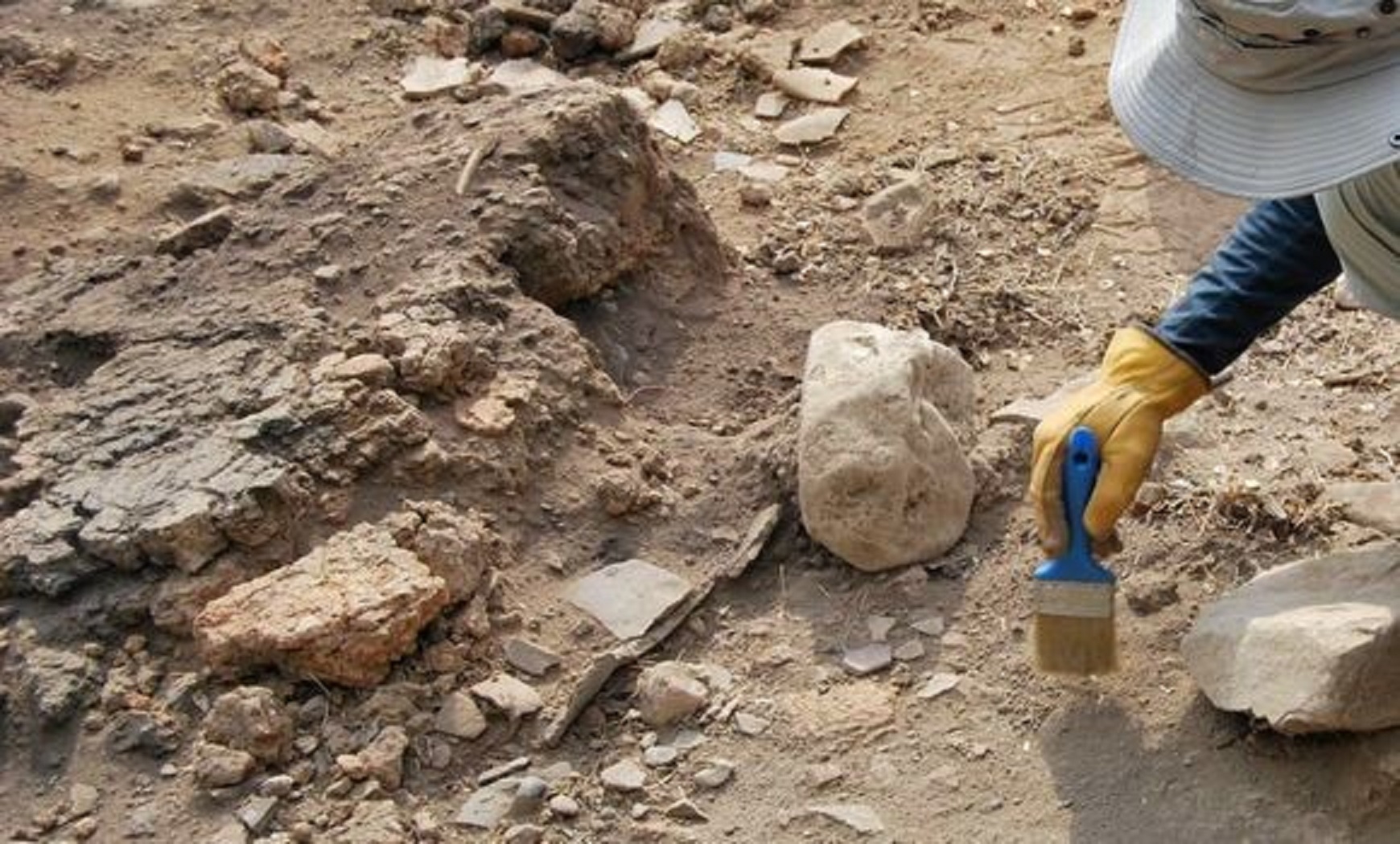 Découverte archéologique d’objets et de pièces de monnaie antique à Tissemsilt