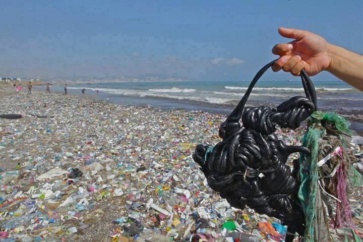 Plages polluées, un phénomène récurrent en dépit des mesures prises