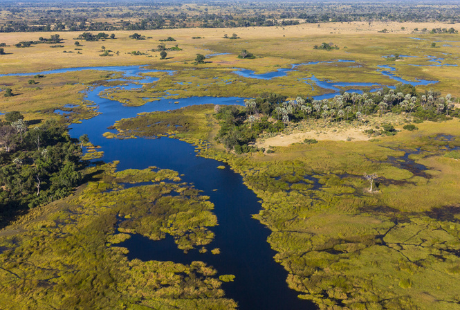 À partir du 2 août, l’humanité utilise les ressources de la Terre à crédit