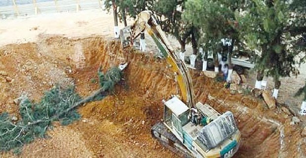 Il veut construire des logements promotionnels sur un espace vert: Pétition contre un promoteur immobilier