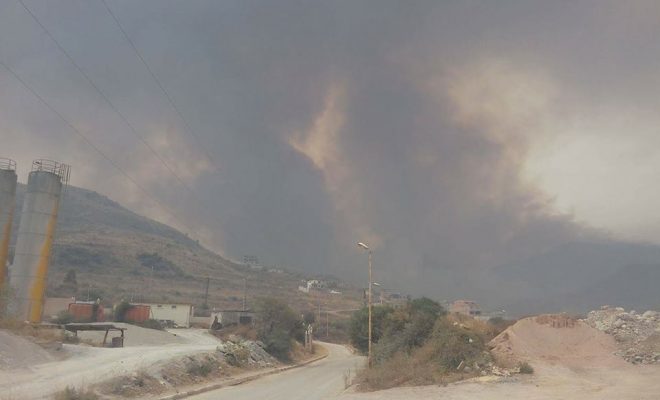 Incendies de forêt: 4 pyromanes arrêtés à Annaba