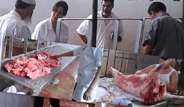 Plus de 150 vétérinaires mobilisés à Alger pour les deux jours de l&rsquo;Aïd al-Adha