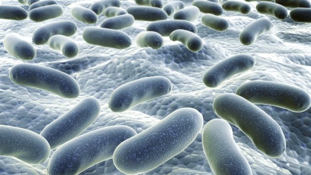 Une redoutable bactérie se propage insidieusement dans les hôpitaux