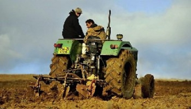 Constantine – Incapables de rembourser le crédit RFIG: 1000 agriculteurs demandent le rééchelonnement