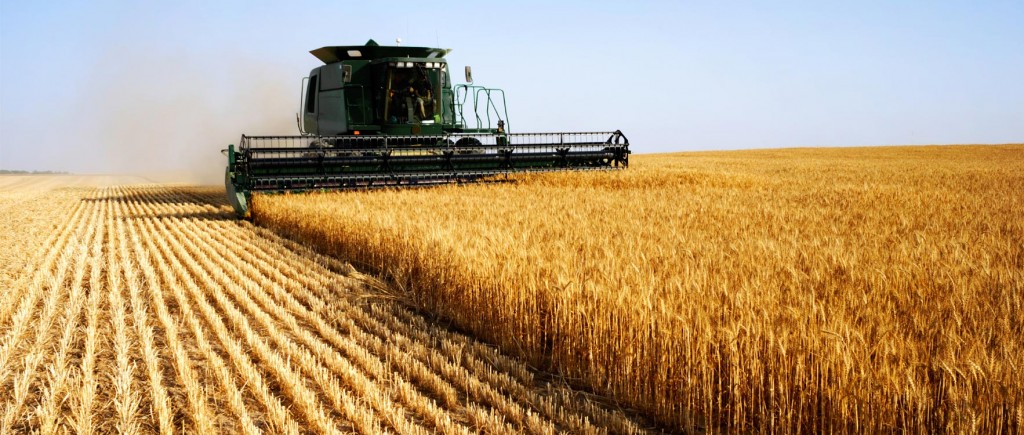 Ouargla : La formation en agriculture une priorité