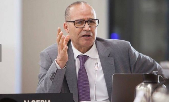 Bouazgui appelle à l’encouragement de l’aquaculture au Sud du pays