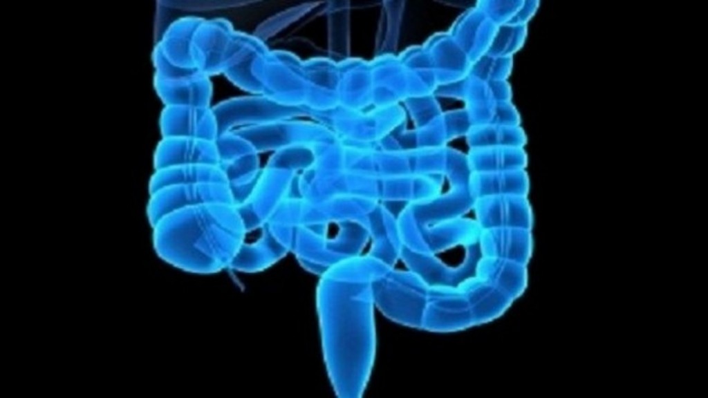 Nutrition:  Surveillez votre écosystème intestinal