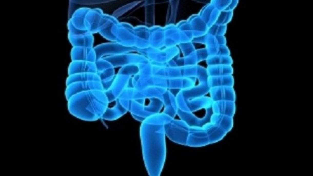 Nutrition:  Surveillez votre écosystème intestinal