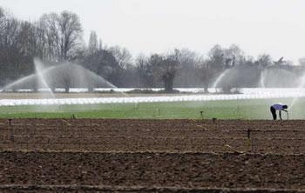 Pour atteindre l’objectif de 2 millions d’hectares irrigués d’ici 2019: Le gouvernement ouvre la voie au privé