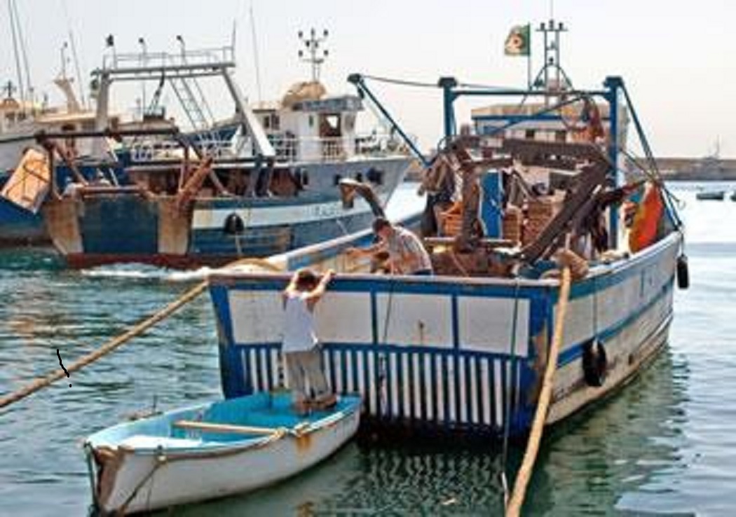 Agriculteurs, pêcheurs et artisans:  Le ministère du Commerce impose des règles