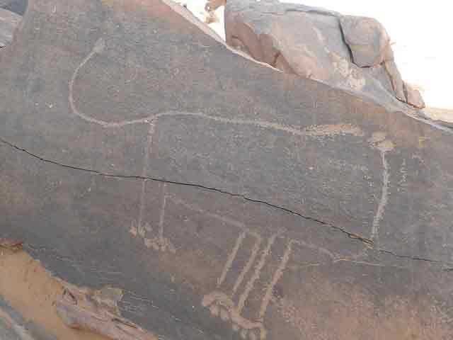 Algérie: Un plan de protection et de sauvegarde des gravures rupestres de Taghit