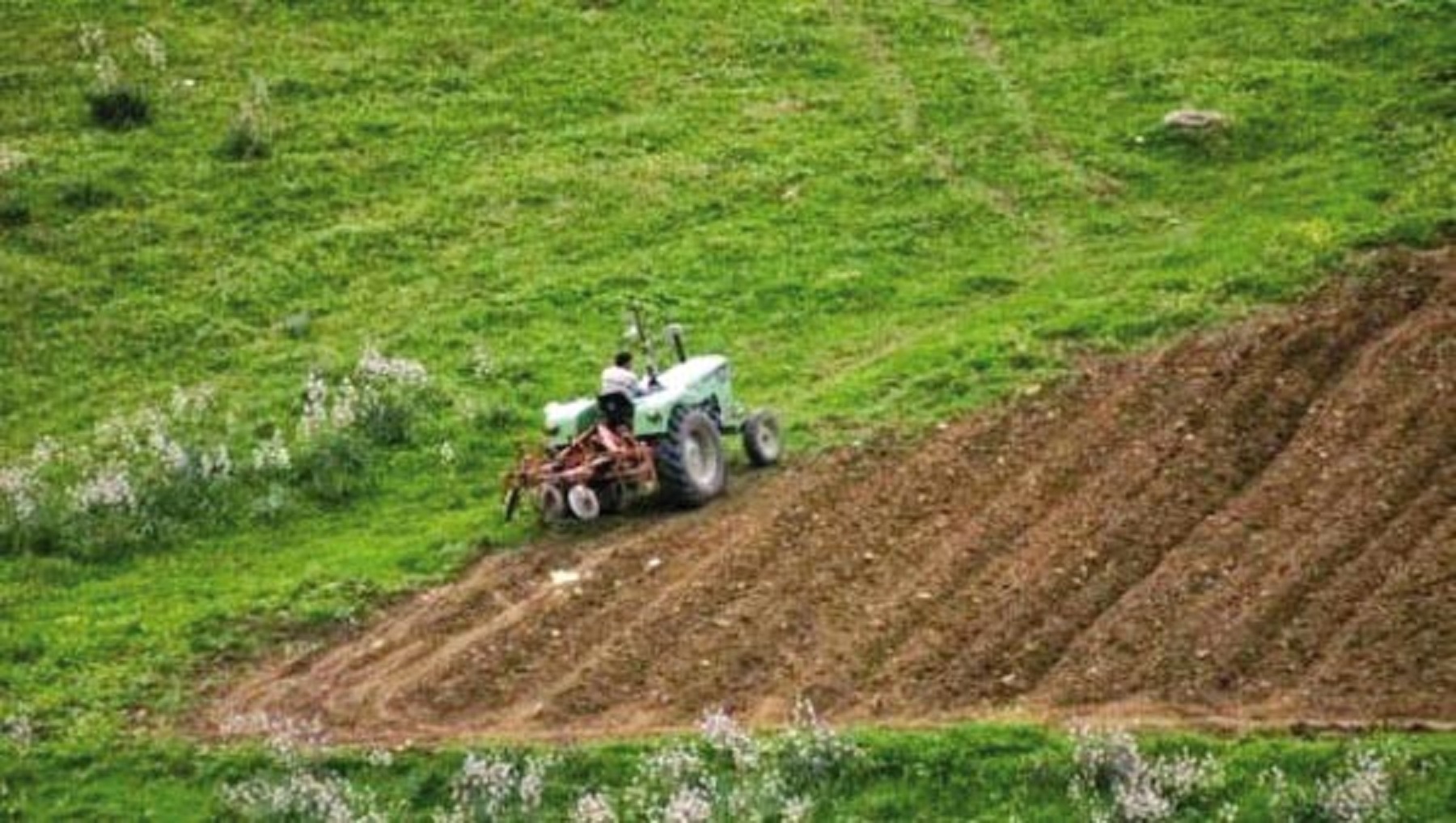 M’sila Réception «avant la fin de l’année» de 110 km de pistes agricoles