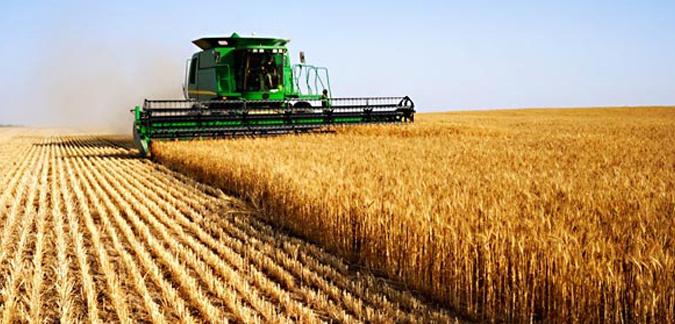 Ballottés entre différents organismes: Les céréaliculteurs de Bouira pris “en otage”