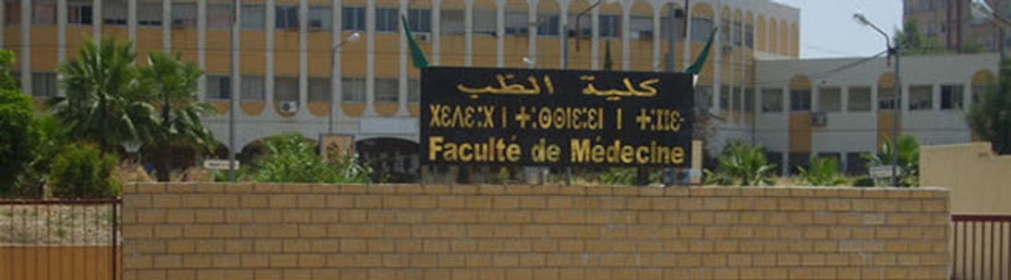 Nouvelle faculté de médecine à Tizi Ouzou:  Le projet en voie de lancement