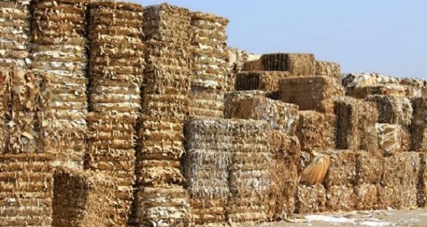 Plus de 15 tonnes de carton recyclable collectés à Oran