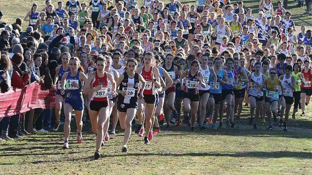 Athlétisme: championnat national de Cross-country 2018: Rendez-vous à Chlef