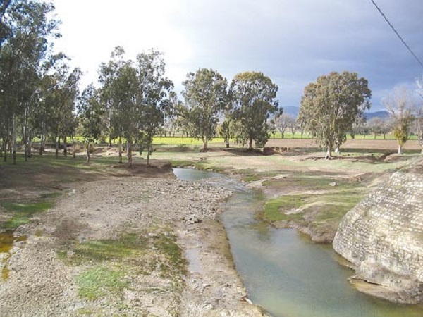 Meskiana (Oum El-Bouaghi): L’achèvement du barrage de Chbabta très attendu