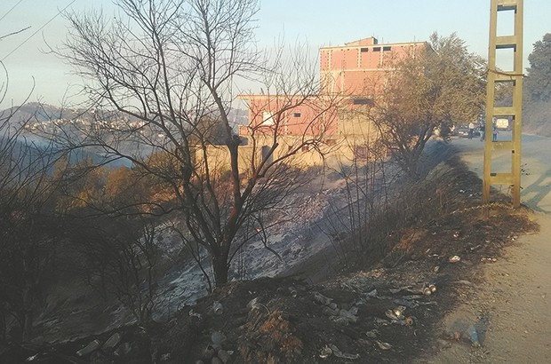 Après une légère accalmie la dernière semaine d’Août: Tizi Ouzou renoue avec les feux de forêt