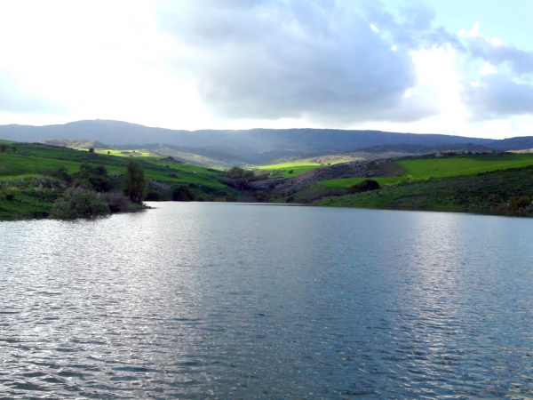 Initié par la coordination de trois associations de Bordj, Béjaïa et Sétif : Le projet de développement durable tomberait-il à l’eau ?