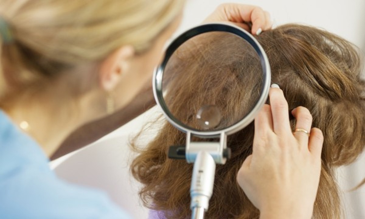 Parents:  Rentrée scolaire : les poux sont déjà là !