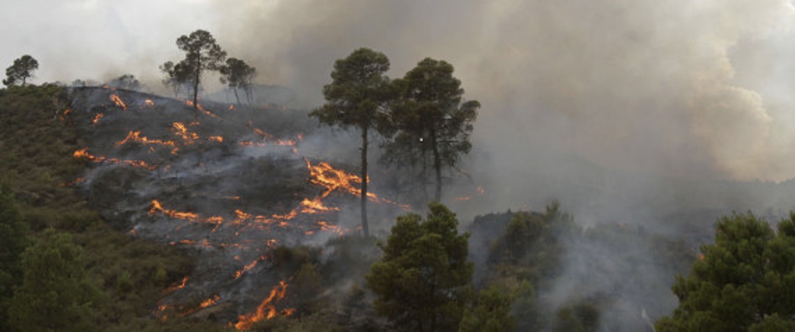 Eté 2017: Près de 52 mille hectares ravagés par 2.343 foyers d’incendie