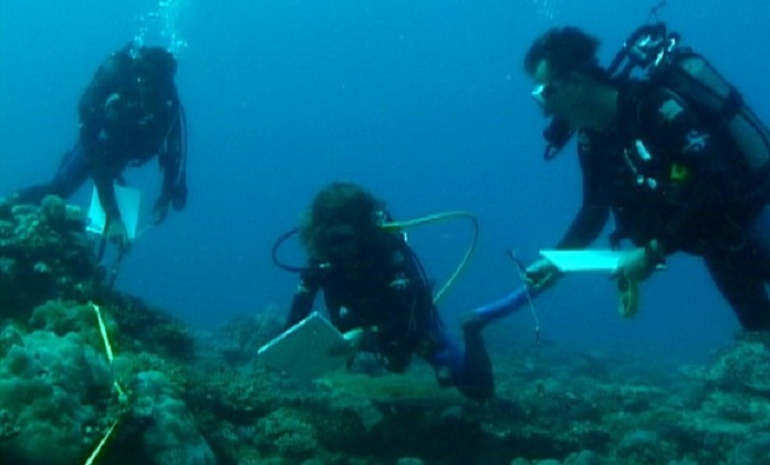 Installation prochaine d’un réseau national pour la surveillance du littoral