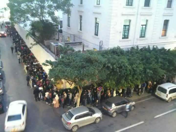 File d&rsquo;attente interminable devant Campus France Algérie après un changement de procédure