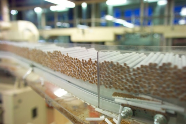 Axe Oran-Mascara: Saisie de 220.000 sachets de tabac à chiquer sans facture