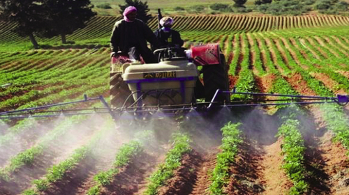 Nécessité d&rsquo;une stratégie de partenariat avec les opérateurs économiques