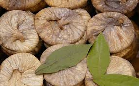 journées techniques sur la figue sèche: nécessité d’augmenter les surfaces de production du fruit