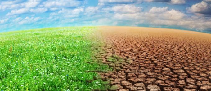 La fin des quatre saisons