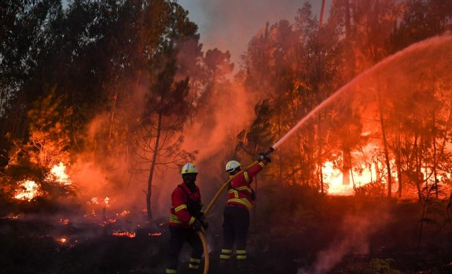 Incendies au Portugal : 41 morts depuis dimanche