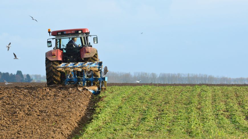 Tlemcen: Les agriculteurs appelés à se moderniser