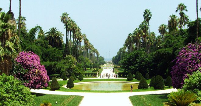 Alger : plus de 200 jardins en voie de réhabilitation