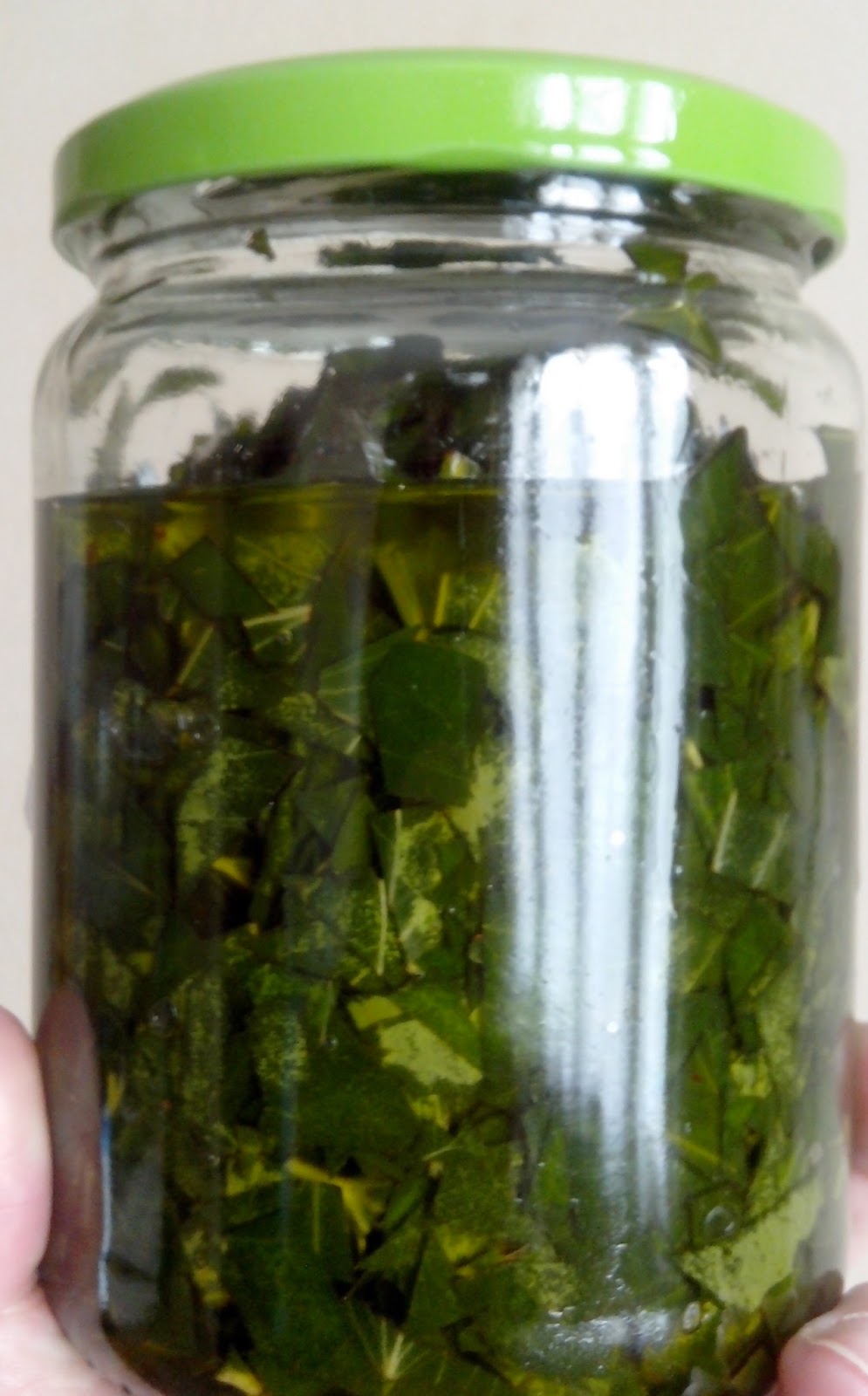 Masque au lierre grimpant