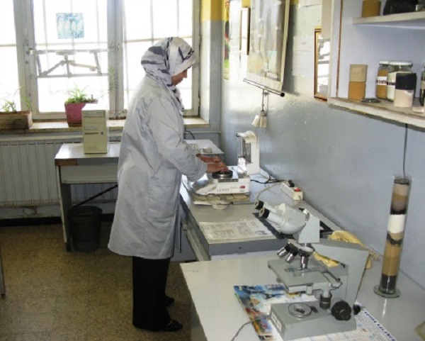 Grève des travailleurs de l’Algérienne des fonderies