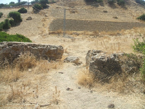 Les vergers de Guerbossa menacés par la sécheresse