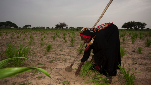 Algérie: Des micro-unités de transformation seront créées au profit de femmes démunies de la wilaya de Bordj Bou Arreridj