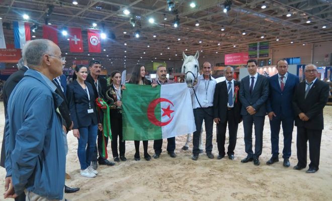 L’Algérie remporte au Maroc la médaille d’or au championnat international du cheval Barbe