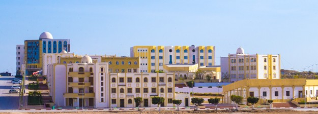 Téléphonie et internet au campus universitaire de Belgaïd: La directrice des PTIC relève des «contrevérités» et saisit le wali