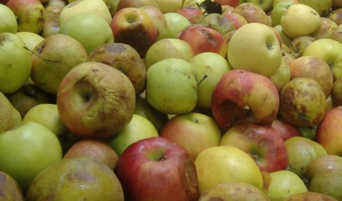 Une quantité de fruits impropres à la consommation saisie à Tizi Ouzou