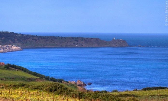 Boumerdès: des enfants à la découverte des biens enfouis dans les fonds marins de la côte de Dellys