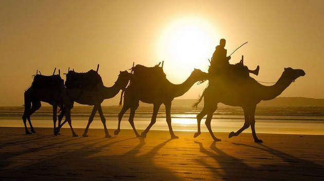 Alors qu&rsquo;il touche le fond : 420 projets pour « réveiller » le tourisme saharien