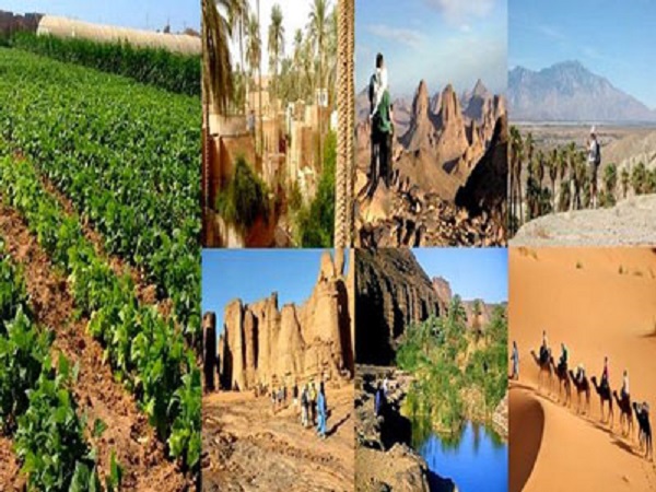 Investissement agricole au sud : Un véritable moteur de la croissance économique