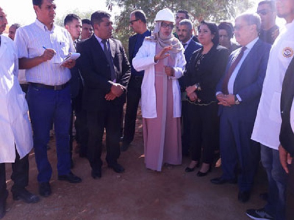 Énergies renouvelables : Un moteur de développement national